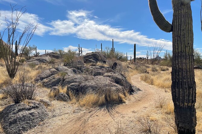 1-2 Hour Sonoran Desert Private Guided Hiking Tour - Meeting at 28777 N Pima Rd: start clean, find it fast