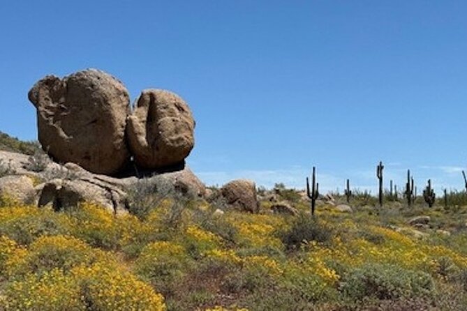 1-2 Hour Sonoran Desert Private Guided Hiking Tour - Best time to go and what weather really means here