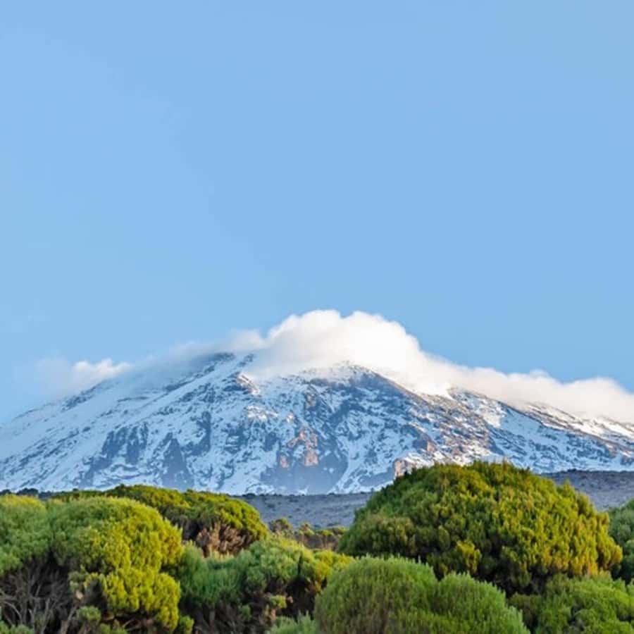 #1. Best Kilimanjaro Day hike Tour-Machame Route-ISMANI - Key highlights to know before you go