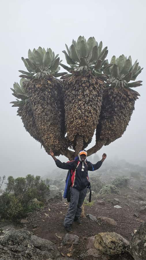 #1. Best Kilimanjaro Day hike Tour-Machame Route-ISMANI - Should you book Best Kilimanjaro Day Hike Tour Machame Route?