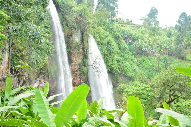 1 Day Sipi falls hike - Optional Add-Ons: Coffee, Caving, Abseiling, and Sunset Walks