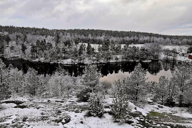 1-Day Small-Group Stockholm Nature Hiking - Why a National-Park Hike Beats a City Stroll in Stockholm