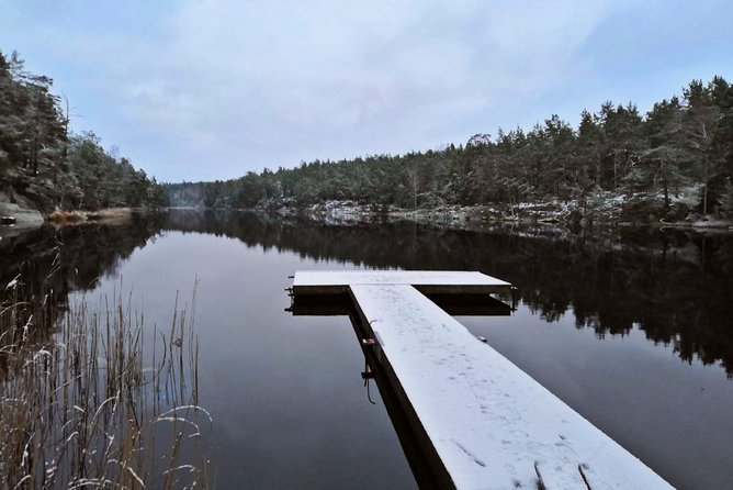 1-Day Small-Group Stockholm Nature Hiking - Animals, Plants, and the Frozen-Lake Factor