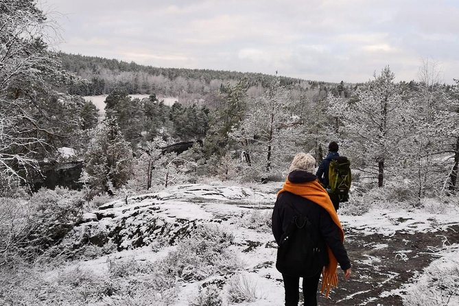 1-Day Small-Group Stockholm Nature Hiking - Winter and Cold-Weather Reality: What to Wear and What to Plan