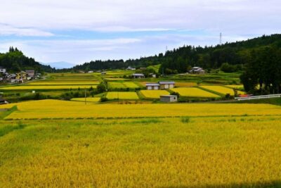 1-Day Tour from Nagoya: Hiking the Historic Nakasendo Trail - Tsumago-juku: stepping into an Edo-era post town