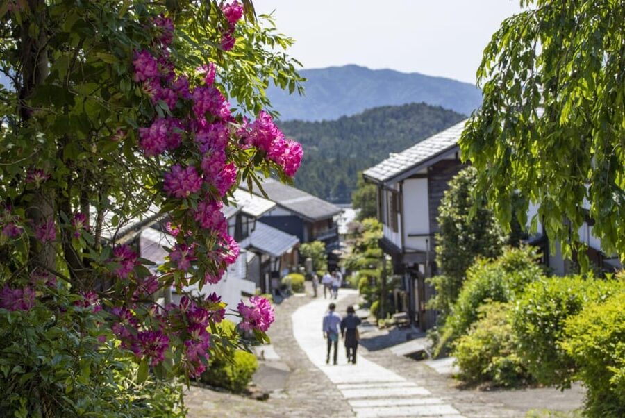 1-Day Tour from Nagoya: Hiking the Historic Nakasendo Trail - Price and value: what you’re paying for at $189
