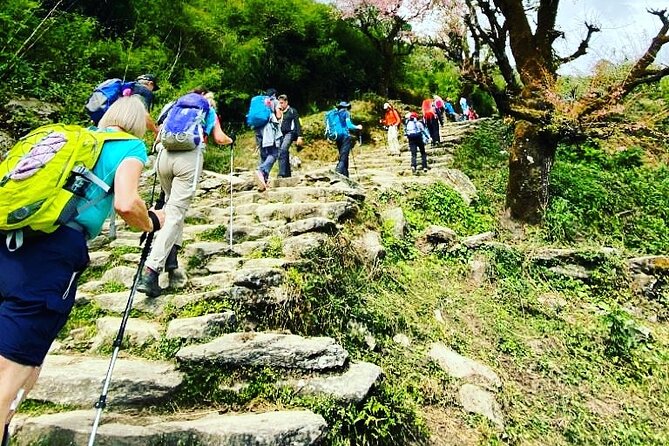 11-Day Hike Tour to Annapurna Base Camp Bliss in Kathmandu - Flying to Pokhara and Starting the Trek from Tikhedhunga / Nayapul