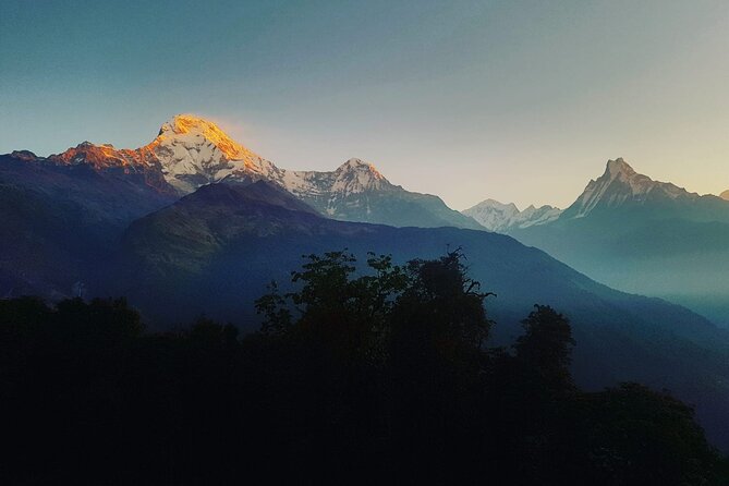 11-Day Hike Tour to Annapurna Base Camp Bliss in Kathmandu - From Ghorepani to Tadapani: Rhododendrons and a Slower Rhythm
