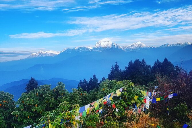 11-Day Hike Tour to Annapurna Base Camp Bliss in Kathmandu - Ulleri Stairs and Poon Hill Sunrise: The First Big Payoff