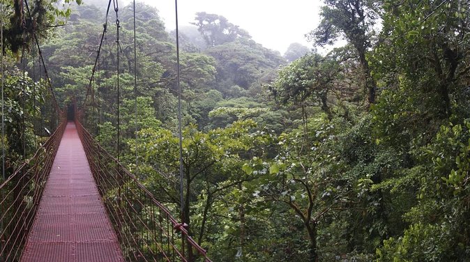 2-Day Extreme Nature Hike from La Fortuna to Monteverde - Key Highlights You’ll Feel (Not Just See)