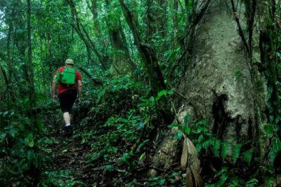 2-Day Extreme Nature Hike from La Fortuna to Monteverde - Day 2 Through Farms and Into Cloud Forest: Santa Elena Finish