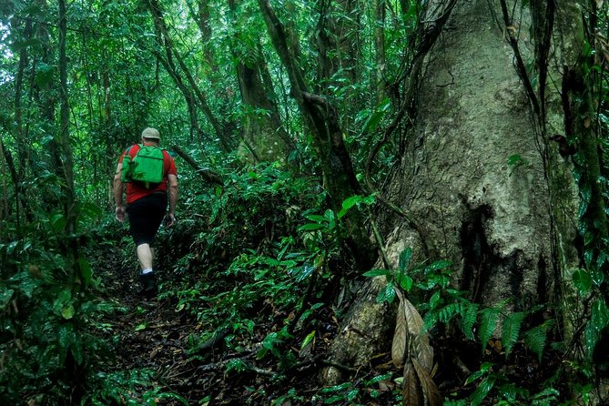 2-Day Extreme Nature Hike from La Fortuna to Monteverde - Day 2 Through Farms and Into Cloud Forest: Santa Elena Finish