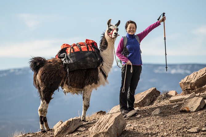 2-Hour Llama Hike - Key Things to Know Before You Go