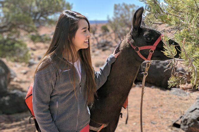 2-Hour Llama Hike - Who This Llama Hike Is Best For (and Who Should Think Twice)