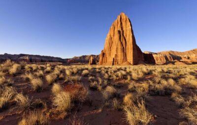2-Hour Llama Hike - What You’ll See: Waterpocket Fold, Petrified Forest, Holt Draw