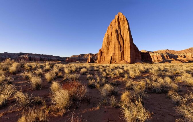 2-Hour Llama Hike - What You’ll See: Waterpocket Fold, Petrified Forest, Holt Draw