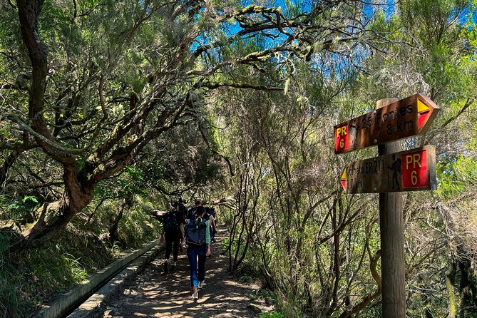 25 Fountains Levada: Hiking Tour in Madeira Rabaçal Valley (PR6) - Key things you’ll notice right away