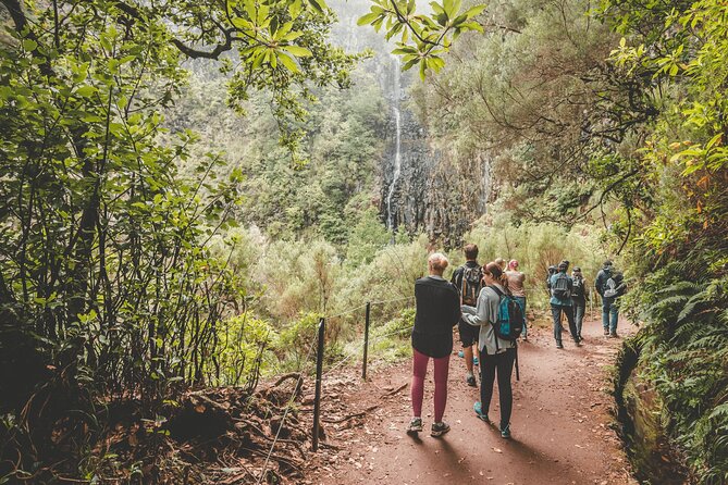 25 Fountains Levada: Hiking Tour in Madeira Rabaçal Valley (PR6) - What’s included, what costs extra, and where people get surprised