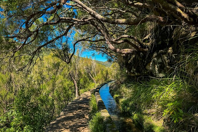 25 Fountains Levada: Hiking Tour in Madeira Rabaçal Valley (PR6) - Moderate fitness: who will feel good on this route