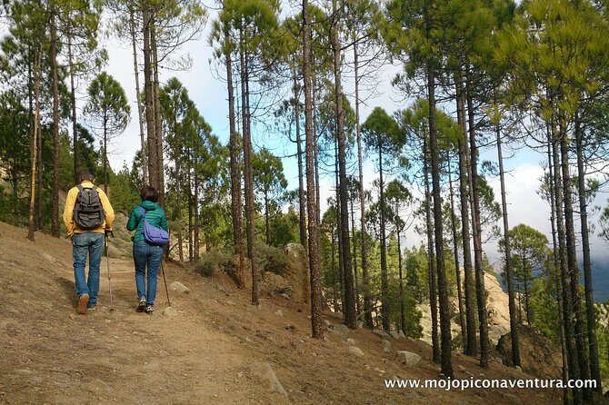3-Hour Hiking Experience in Roque Nublo - The Hike Itself: A Gentle Climb, a Full Roque View, Then Back Down