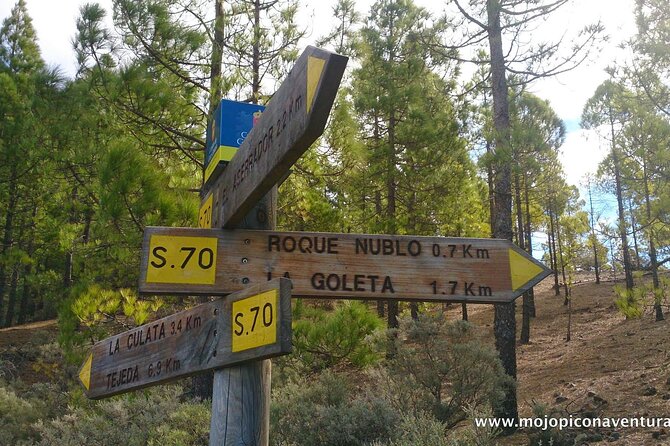 3-Hour Hiking Experience in Roque Nublo - The Drive Stops: Quick Looks That Add Context
