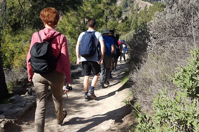 3-Hour Hiking Experience in Roque Nublo - Guide Style: Friendly, Story-Driven, and Able to Adapt