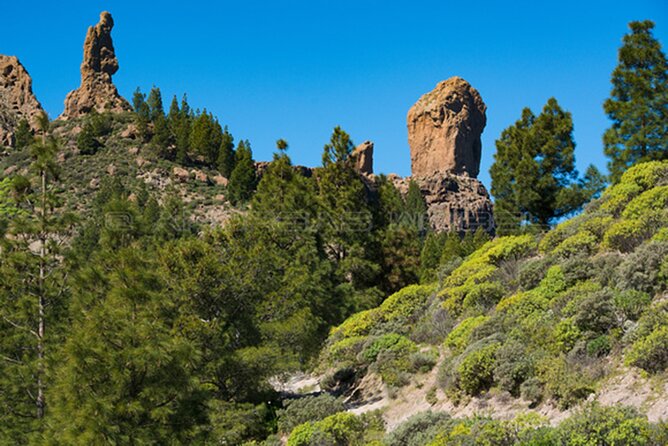 3-Hour Hiking Experience in Roque Nublo - Getting There Comfortably: Pickup, Green Shirts, and Real Starting Time