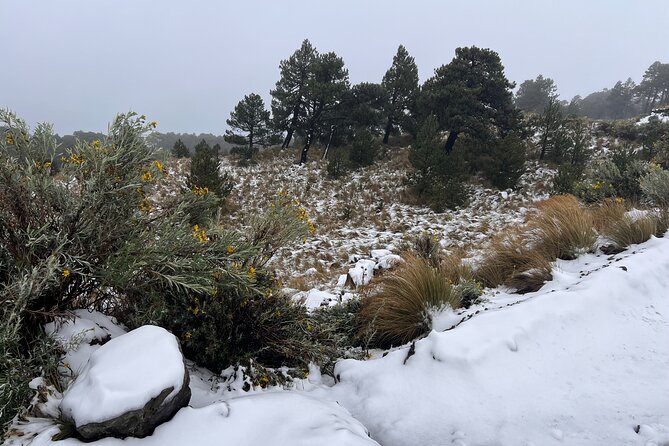 3 Hour Private Hike: Mountain Nevado Toluca from Mexico City - Guide quality: English explanations and pacing that keeps you comfortable