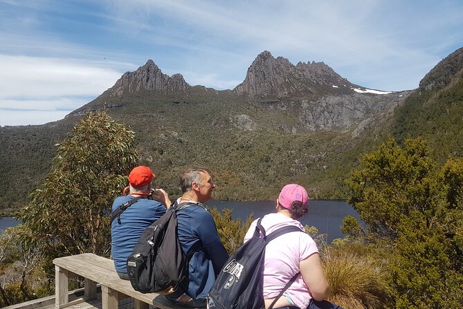 4 Day Wild Tasmania Tour / Wildlife, Nature, Hiking / Inc. Accom - What wildlife spotting is really like on this route