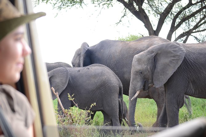 4 days Best experience Kilimanjaro Hike, Serengeti &Ngorongoro - Day 1: Materuni village trek, coffee tour, and Chemka hot springs