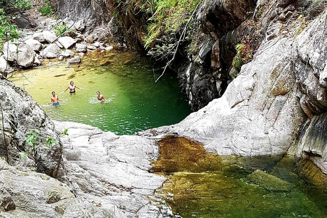 4-Hour Jungle Hike and Waterfall Swim - The Lookout Above the Jungle: Why the Final Climb Matters