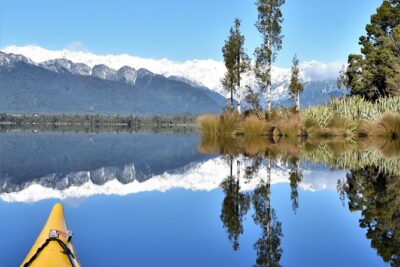 4-hour Lake Mapourika Kayak and Hike adventure, with Okarito Kiwi Sanctuary - The Okarito Kiwi Sanctuary Hike: Ancient Forest Ground and a Living Story