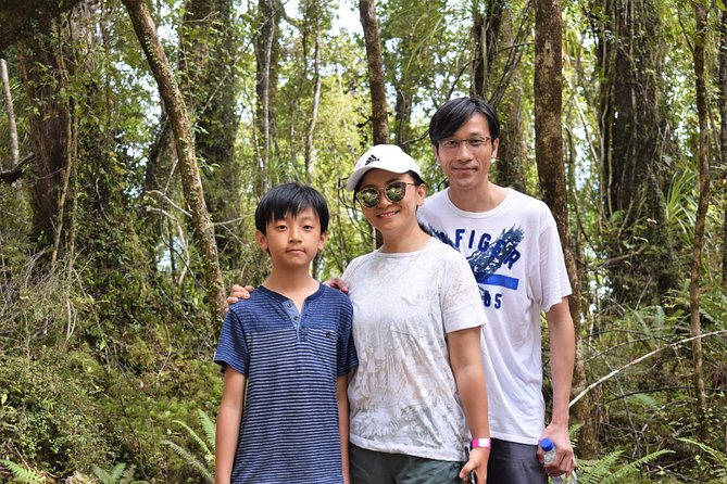 4-hour Lake Mapourika Kayak and Hike adventure, with Okarito Kiwi Sanctuary - Fitness Level, Footwear, and Who This Tour Suits Best