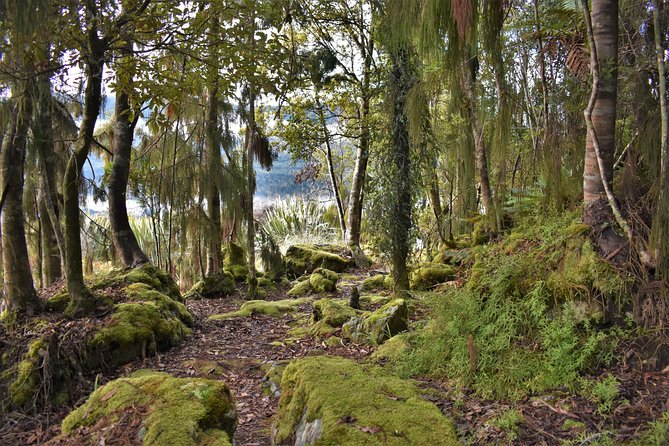 4-hour Lake Mapourika Kayak and Hike adventure, with Okarito Kiwi Sanctuary - Price and Value: What $104.88 Covers (and Why It Feels Fair)