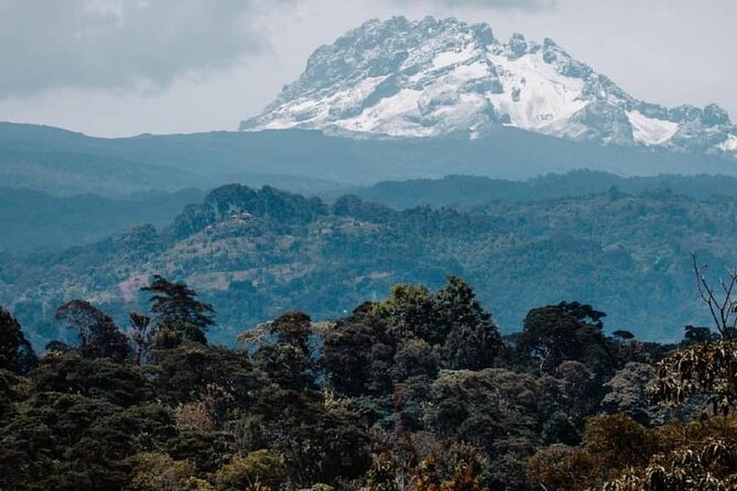 5 days safari, hiking & culture (Serengeti & kilimanjaro) - Why This Five-Day Circuit Makes Sense (Tarangire to Kilimanjaro)