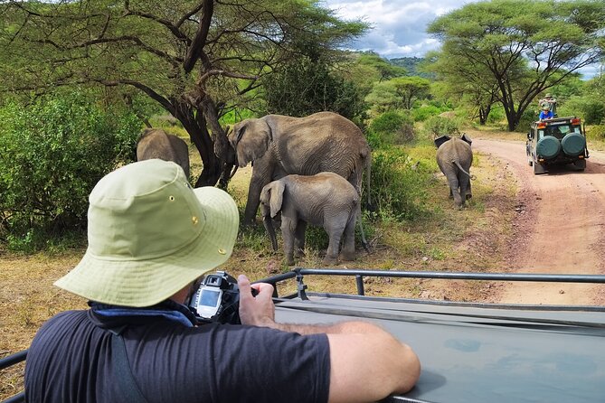 5 days safari, hiking & culture (Serengeti & kilimanjaro) - Day 4: Ngorongoro Crater Floor Time and the Black Rhino Search