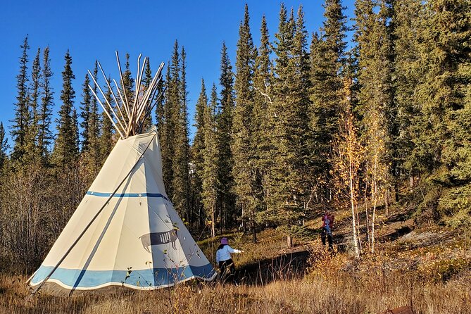 5 Hours Small Group Hike at Cameron Falls - Price and value: What you’re really paying for at $119.89