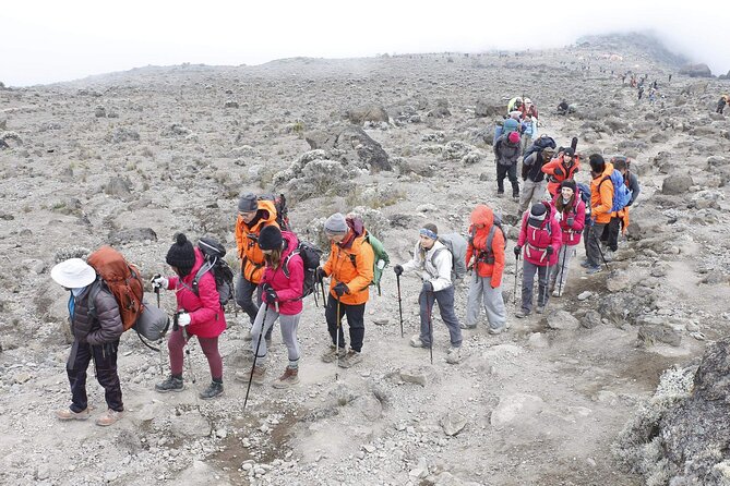 6 Days: Hiking Kilimanjaro via Machame Route - Day 2: from heather ridges into the Shira Hut campsite