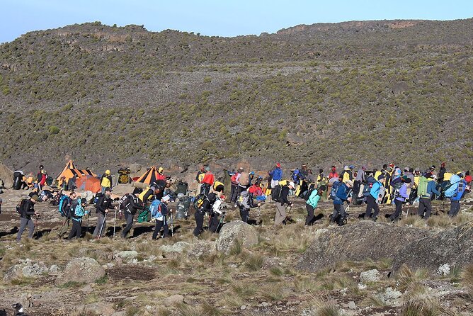 6 Days: Hiking Kilimanjaro via Machame Route - Day 6: gentle rainforest descent to Mweka Gate and the certificate moment