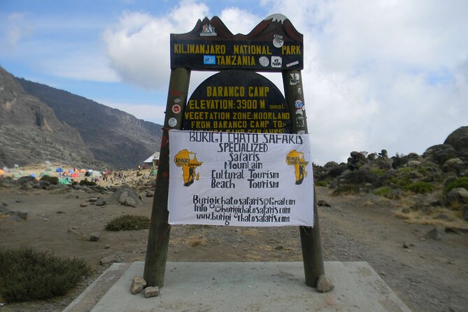 6 Days Kilimanjaro hiking tour | climb Kilimanjaro Machame Route - Day 2: Machame Camp to Shira Camp (Building Momentum)
