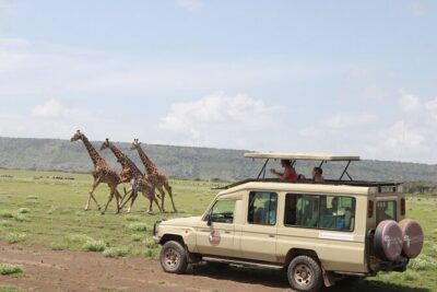 6 Days Serengeti Safari(hiking waterfalls &coffee tour) - Serengeti: two days of migration country plus a crater-view break