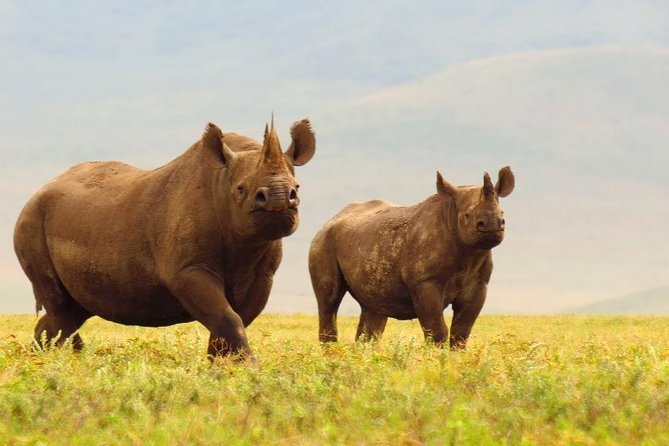 6 Days Serengeti Safari(hiking waterfalls &coffee tour) - Materuni Waterfalls and coffee tour: the culture break after safari