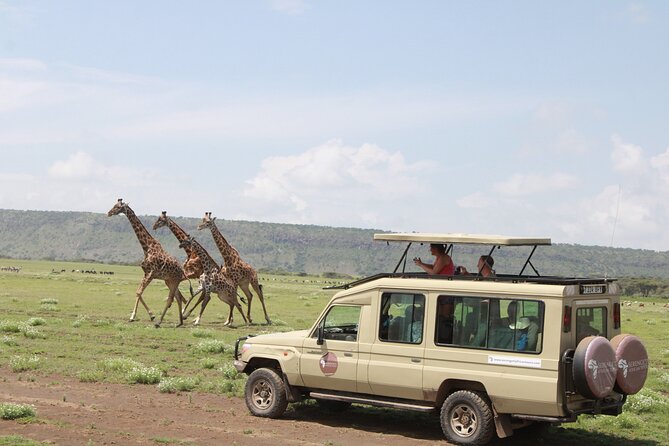 6 Days Serengeti Safari(hiking waterfalls &coffee tour) - Serengeti: two days of migration country plus a crater-view break