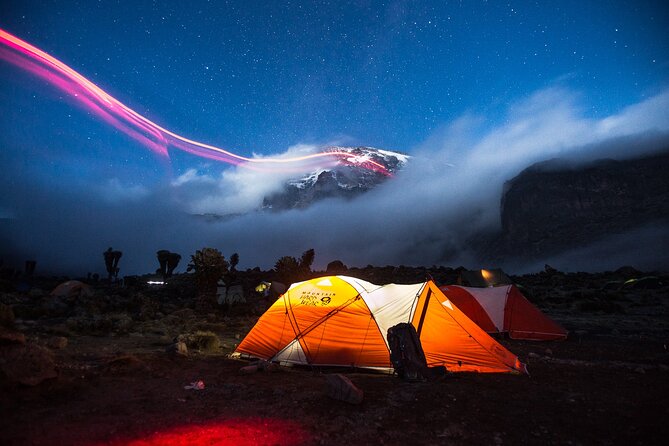 7-Day Machame Kilimanjaro Summit Tour from Arusha - Day 2: Shira Camp and the Shift Into Moorland