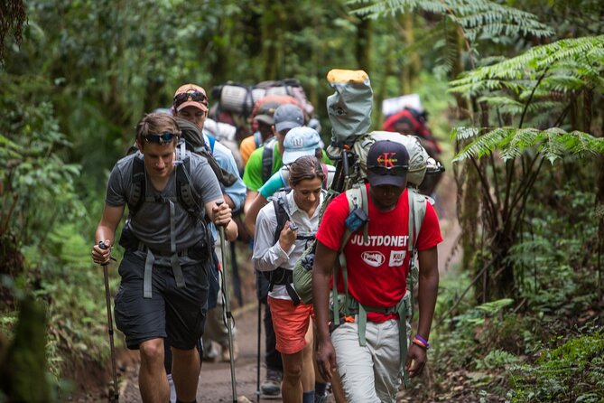 7-Day Machame Kilimanjaro Summit Tour from Arusha - Day 6: Midnight Summit to Stella Point and Uhuru Peak Sunrise