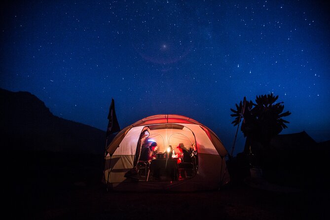 7-Day Machame Kilimanjaro Summit Tour from Arusha - Day 1: Machame Gate to Machame Camp Through the Rain Forest