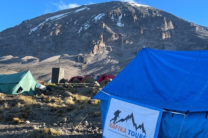 8 Days Kilimanjaro Hike via Lemosho Route - Day 1: Lemosho glades to Big Tree Camp and the rainforest start