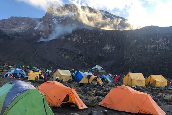 8 Days Kilimanjaro Hike via Lemosho Route - Day 4: Lava Tower at 4,640 m and the Great Barranco Valley descent