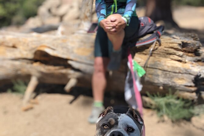 A Local's Favorite Hike in Big Bear with Lake Swimming Experience - The dock swim: how the hour on the water fits the day