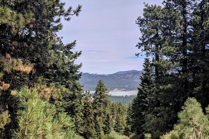 A Local's Favorite Hike in Big Bear with Lake Swimming Experience - Who this hike-and-swim day is best for